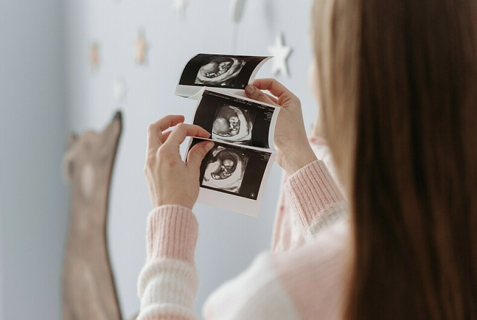 Вы узнали о беременности: дальнейший план действий от врача-гинеколога