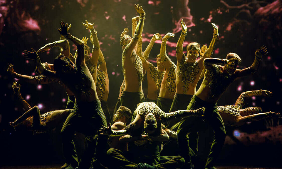 Танцуют все: 5 dance-постановок в Театре танца Аллы Духовой TODES