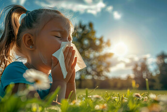 Медвежата и розы: весенний маркет подарков