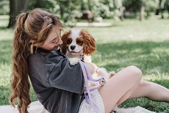 Танцуют все! Фестиваль K-POP фестиваль пройдет в эту субботу
